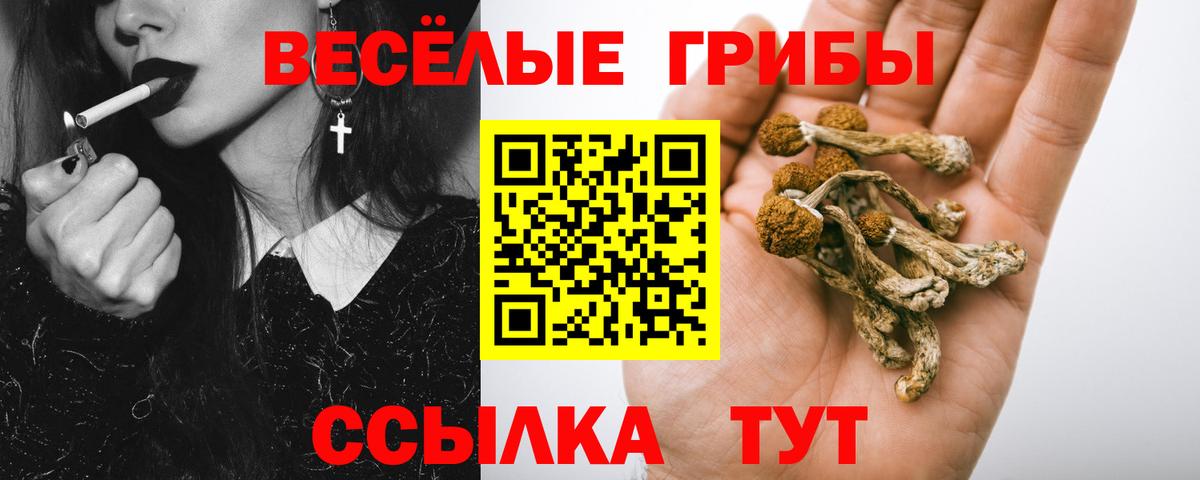 Галлюциногенные грибы Cubensis Карталы