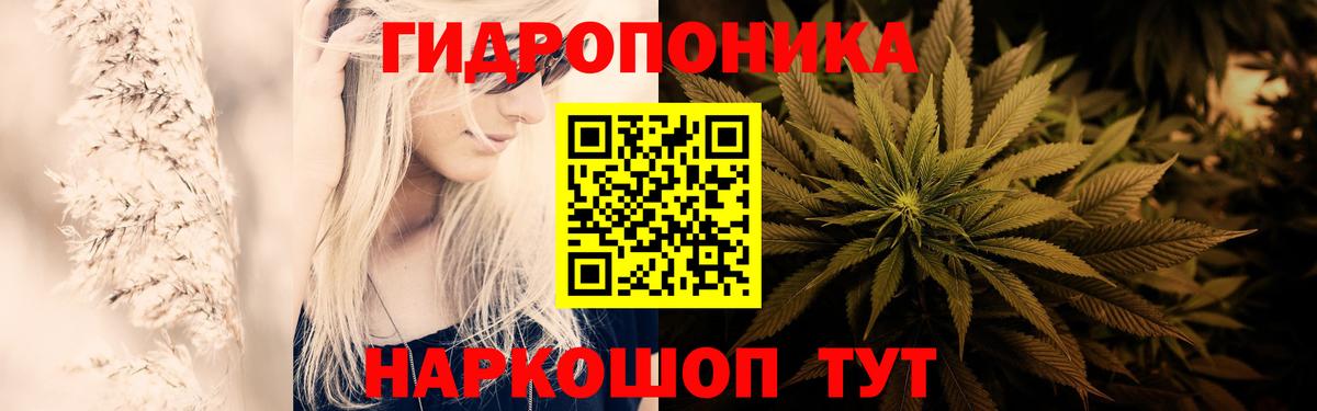 Шишки марихуана OG Kush  Конопля Ganja  Вход с VPN  Карталы  Марихуана VHQ 